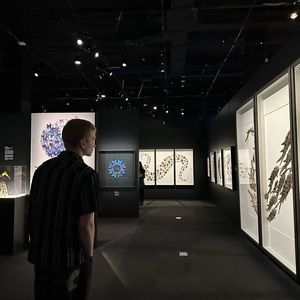 Meet your Posher, Clay